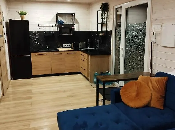 Domino - Nad Jeziorem Holiday home Bieniowice